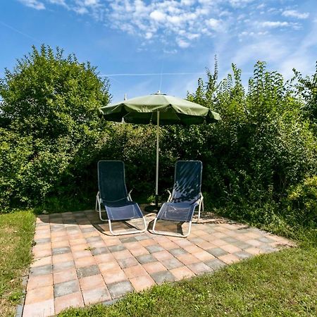 Bungalow De krukel - Ouddorp fenced garden, near the beach and dunes Exteriör bild